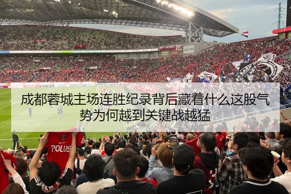 成都蓉城主场连胜纪录背后藏着什么这股气势为何越到关键战越猛